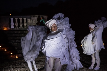 Spectacle Vaux Nocturne