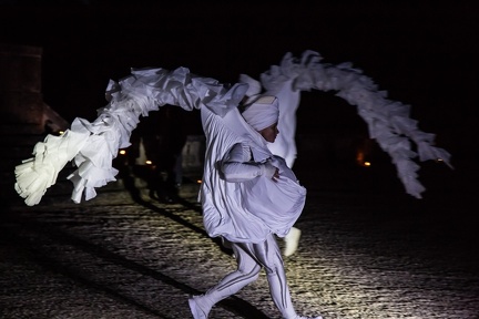 Spectacle Vaux Nocturne