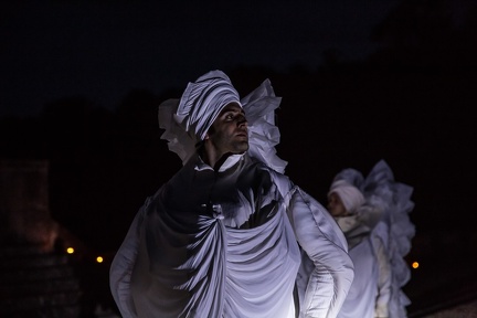 Spectacle Vaux Nocturne