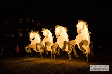 Spectacle Vaux Nocturne