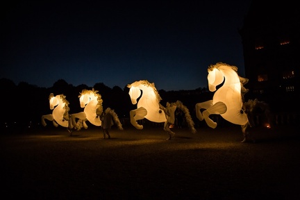 Spectacle Vaux Nocturne