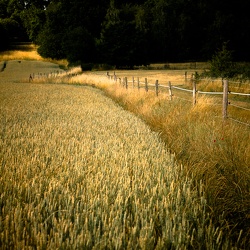 Paysages
