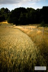 Campagne-Nature