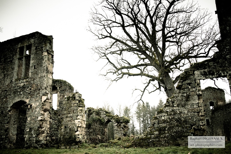 Château du Vivier