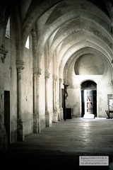 Collégiale de Champeau 77