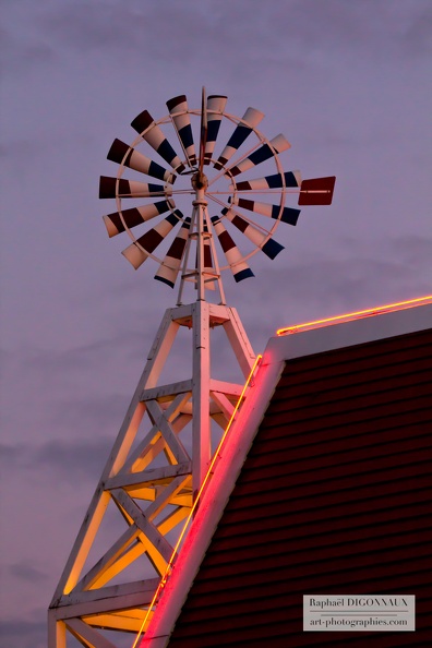 IMG_6377.jpg